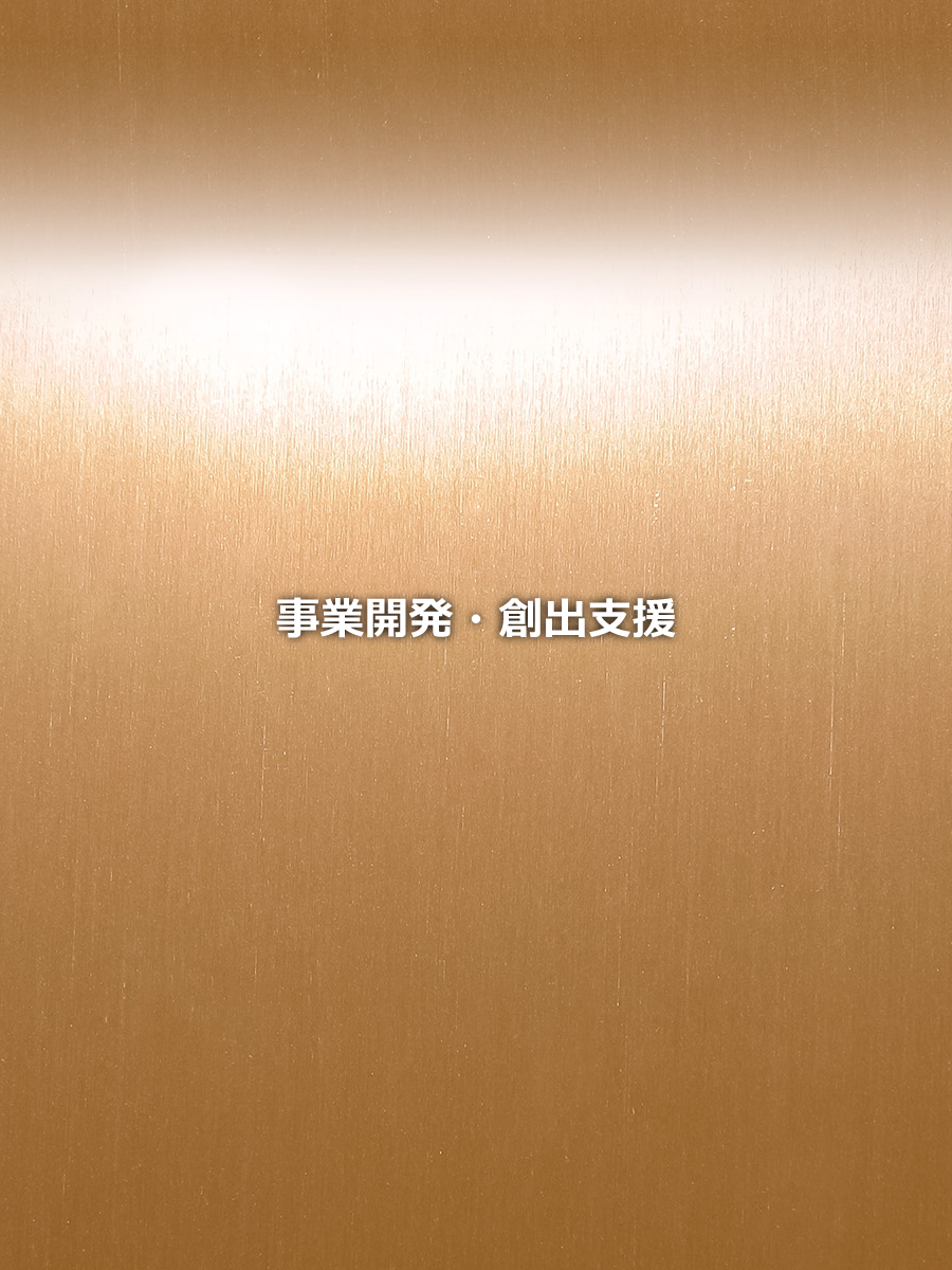 事業開発・創出支援